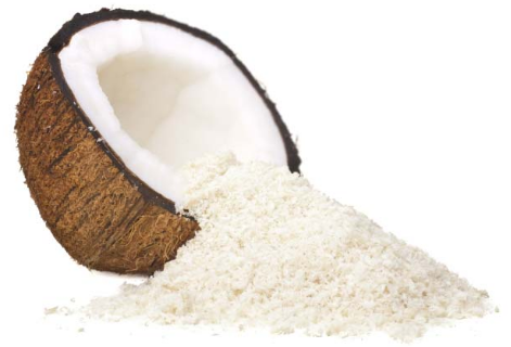 Coconut Milk Powder Exporter and Manufacturer